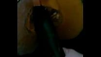 Black cucumber , inside a tigh pumpkind