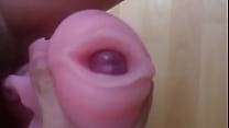 my dick in pussy toy