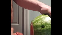 Robé un melón del jardín de mi culo de vecinos y lo follé como un JEFE