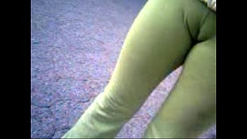 asses and camel in the street