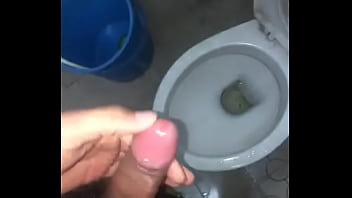 Vietnamese police flush toilets
