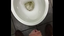 Toilet piss fun