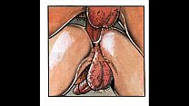 ブルネットの巨大な胸と肛門乱交BDSM