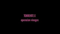 Torrente X - Operação Vinagra