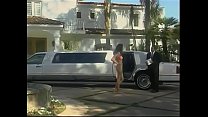 Sexy Schlampe mit schönen Titten Tera Patrick wird in einer Limousine gefickt