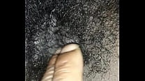 Chatte poilue ébène noire