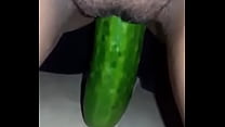 Big cucumber in juicy pussy
