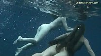 Подводное плавание девушек на Тенерифе