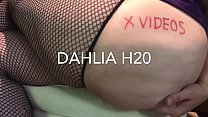 Dahlia H20 Verification video