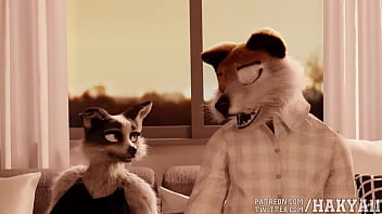 Furry hakya11 animation soudaine bruits forts HD