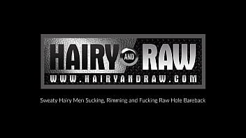 HAIRYANDRAW Bearded Dax Librastic Raw Breeds Harper Davis