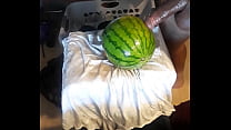 watermelon masturbation session