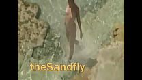 theSandfly Hottest Holiday Shore Exhibitions!