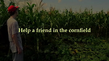 Помогите другу на кукурузном поле