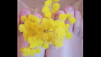 Feet scented with mimosa